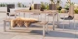 Gartenmöbel im Angebot bei XXXLutz Möbelhäuser in Recklinghausen Gartenmöbel Angebote von Amalio bei XXXLutz Möbelhäuser Recklinghausen für 149,00 €