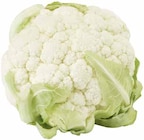 Blumenkohl im Angebot bei E center in Mainz Blumenkohl Angebote bei E center Mainz für 1,49 €
