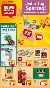 Aktueller REWE Prospekt für Nidda mit  Seiten