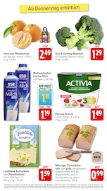 Aktueller EDEKA Prospekt mit Milch, "Aktuelle Angebote", Seite 14