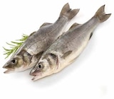 Hieber - Wolfsbarsch (Loup de Mer) Angebot im Prospekt Wolfsbarsch (Loup de Mer) bei Hieber im Prospekt "" für 1,99 €