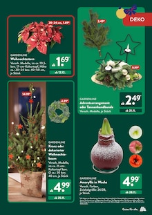 Zimmerpflanzen im ALDI SÜD Prospekt "DEIN STÜCK WEIHNACHTSGLÜCK." mit 46 Seiten (Frankfurt (Main))