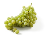 Lidl Belleville-sur-Meuse - Promo Raisin blanc Bio sans pépins Promo Raisin blanc Bio sans pépins à 1,97 € dans le catalogue Lidl à Belleville-sur-Meuse