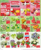 Äpfel im Kaufland Prospekt in Pirmasens Aktueller Kaufland Prospekt mit Äpfel, "Aktuelle Angebote", Seite 10