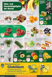Aktueller GLOBUS Prospekt mit Kiwi, "Aktuelle Angebote", Seite 6