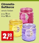 Citronella-Duftkerze im aktuellen Thomas Philipps Prospekt