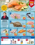 Fisch Fisch