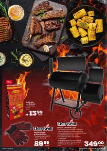 Briketts im Selgros Prospekt "HIER KAUFEN PROFIS & GENIESSER" mit 28 Seiten (Wiesbaden)