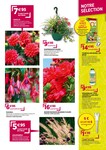 Fleurs Fleurs