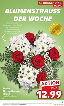 Chrysantheme im Kaufland Prospekt "KNÜLLER" mit 70 Seiten (Wuppertal)