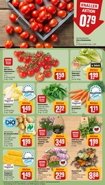 Ähnliche Angebote wie Stiefmütterchen im Prospekt "Dein Markt" auf Seite 11 von REWE in Coburg