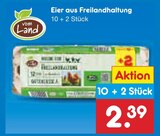 Eier aus Freilandhaltung im Angebot bei Netto Marken-Discount in Greifswald Eier aus Freilandhaltung Angebote von vom Land bei Netto Marken-Discount Greifswald für 2,39 €
