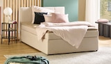 Aktuelles Boxspringbett Angebot bei Sconto SB in Frankfurt (Main) ab 399,00 €