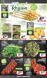 Wok im EDEKA Prospekt in Haltern am See Aktueller EDEKA Prospekt mit Wok, "Aktuelle Angebote", Seite 7