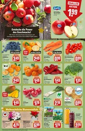 REWE Pflanzen im Prospekt REWE Pflanzen im Prospekt