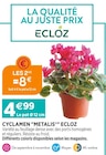 Promo Cyclamen 'METALIS' à 4,00 € dans le catalogue Delbard à Thiers