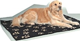 Hundedecke im Angebot bei Thomas Philipps in Lünen Hundedecke Angebote bei Thomas Philipps Lünen für 4,99 €