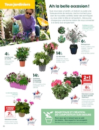 Offre Plante Verte dans le catalogue Truffaut du moment à la page 2