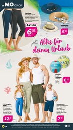 Hose Angebot & Preis im aktuellen NETTO mit dem Scottie Prospekt Hose Angebot im aktuellen NETTO mit dem Scottie Prospekt auf Seite 16