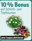 10 % Bonus bei REWE im Prospekt "" für 