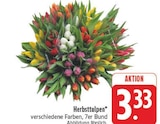 Herbsttulpen im Angebot bei EDEKA in Plauen Herbsttulpen Angebote bei EDEKA Plauen für 3,33 €