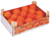 Clementinen  im aktuellen Marktkauf Prospekt für 3,99 €