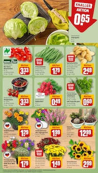 Salat im aktuellen REWE Prospekt (Stuttgart) Salat im REWE Prospekt "Dein Markt" mit 30 Seiten (Stuttgart)