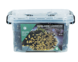 Guirlande solaire dans le catalogue Gifi