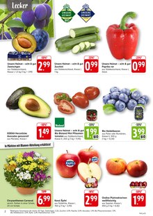 Aktueller EDEKA Prospekt