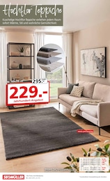 Segmüller Hochflorteppich im Prospekt 
