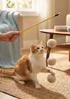 Jouet pour chat en promo à 1,98 € chez B&M Jouet pour chat dans le catalogue B&M