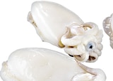 Tintenfisch Sepia für 16,23 € bei METRO im Angebot Tintenfisch Sepia im aktuellen METRO Prospekt
