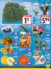 Palme im EDEKA Prospekt in Gießen Aktueller EDEKA Prospekt mit Palme, "Aktuelle Angebote", Seite 5
