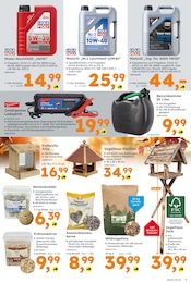 Motoröl Angebot im aktuellen Globus-Baumarkt Prospekt auf Seite 3
