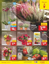 Aktueller Netto Marken-Discount Prospekt mit Gartenpflanzen, "Aktuelle Angebote", Seite 9