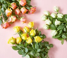 Schnittblumen, langstielig bei ALDI SÜD in München Schnittblumen, langstielig im Angebot bei ALDI SÜD München für 2,99 €