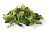 Salat Mix bei Lidl im Bruckmühl Prospekt für 1,11 €