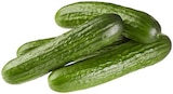 Aktuelles Mini Gurke Angebot bei REWE in Hamburg ab 0,39 €