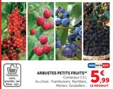 Arbustes petits fruits en promo chez Super U Grenoble à 5,99 €