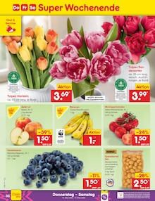 Blumen im Netto Marken-Discount Prospekt "Aktuelle Angebote" mit 60 Seiten (Magdeburg)