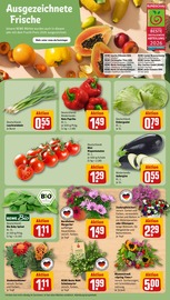 Ähnliche Stiefmütterchen Angebote im Prospekt "Dein Markt" von REWE in Halle Ähnliche Angebote wie Stiefmütterchen im Prospekt "Dein Markt" auf Seite 7 von REWE in Halle