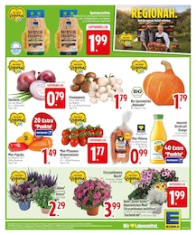 Stiefmütterchen Angebot & Preis im aktuellen EDEKA Prospekt Stiefmütterchen Angebot im aktuellen EDEKA Prospekt auf Seite 5