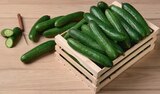 Gurken im tegut Prospekt Mini Gurken im aktuellen tegut Prospekt für 0,39 €