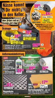 Pflanzen im Hornbach Prospekt "Das beste Projekt ist immer das nächste." mit 31 Seiten (Darmstadt)