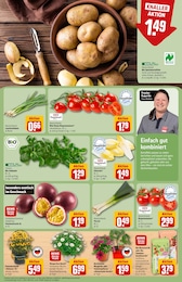 Gartenbepflanzung im REWE Prospekt "Dein Markt" auf Seite 7