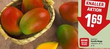 REWE Marburg Prospekt mit  im Angebot für 1,69 €