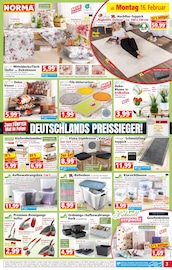 Aktueller Norma Prospekt mit Blumenzwiebeln, "Mehr fürs Geld", Seite 5