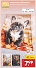 Wohndecke mit Fotodruck im Angebot bei Netto Marken-Discount in Fellbach Wohndecke mit Fotodruck Angebote bei Netto Marken-Discount Fellbach für 7,99 €