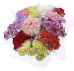 BOUQUET DE 7 OEILLETS - SANS MARQUE à 4,75 € dans le catalogue Auchan Supermarché