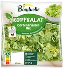 Kopfsalat Gartenkräuter Mix Angebote von Bonduelle bei REWE Bayreuth für 1,79 €